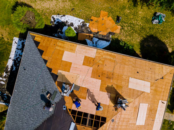 Best Affordable Roof Replacement  in Cave City, KY